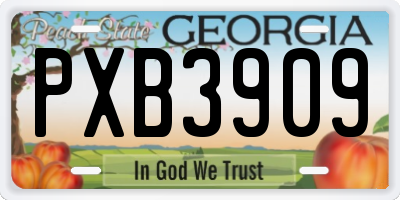 GA license plate PXB3909
