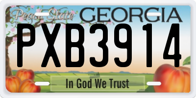 GA license plate PXB3914