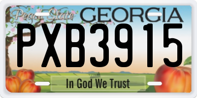 GA license plate PXB3915