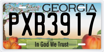 GA license plate PXB3917