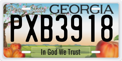 GA license plate PXB3918