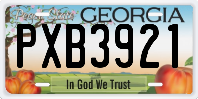 GA license plate PXB3921