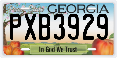 GA license plate PXB3929