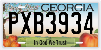 GA license plate PXB3934