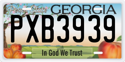 GA license plate PXB3939