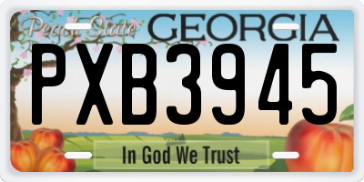 GA license plate PXB3945