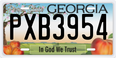 GA license plate PXB3954