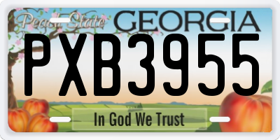 GA license plate PXB3955