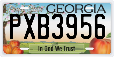 GA license plate PXB3956
