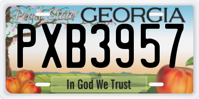 GA license plate PXB3957