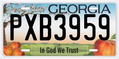 GA license plate PXB3959