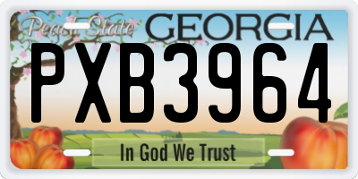 GA license plate PXB3964