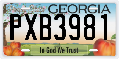 GA license plate PXB3981