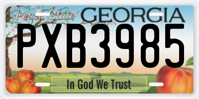 GA license plate PXB3985