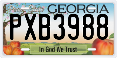 GA license plate PXB3988