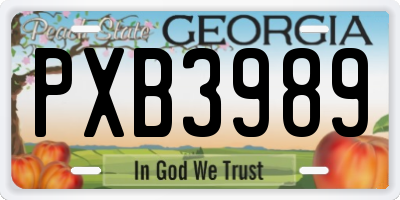GA license plate PXB3989