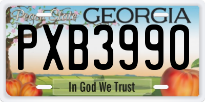 GA license plate PXB3990