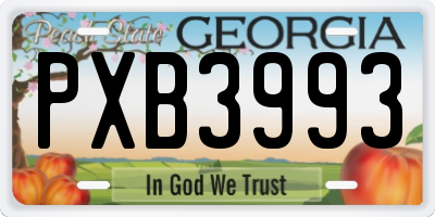GA license plate PXB3993