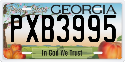 GA license plate PXB3995
