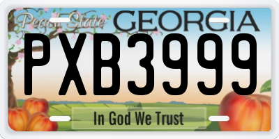 GA license plate PXB3999