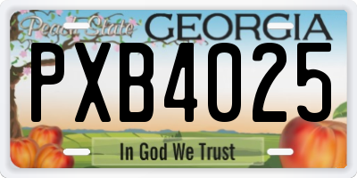 GA license plate PXB4025