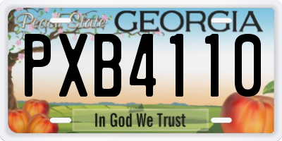 GA license plate PXB4110