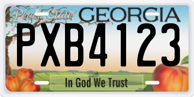 GA license plate PXB4123