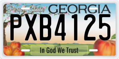 GA license plate PXB4125
