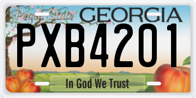 GA license plate PXB4201
