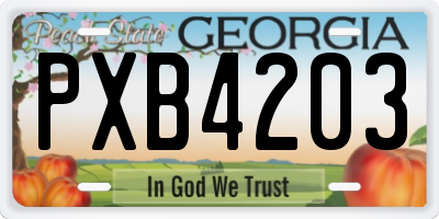 GA license plate PXB4203
