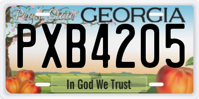 GA license plate PXB4205