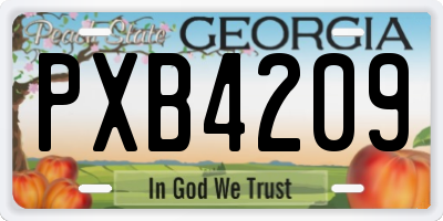 GA license plate PXB4209
