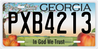 GA license plate PXB4213