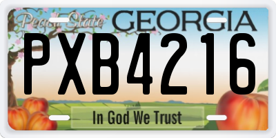 GA license plate PXB4216