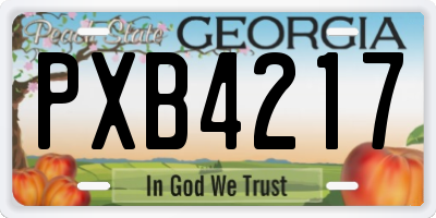GA license plate PXB4217