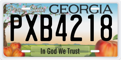GA license plate PXB4218