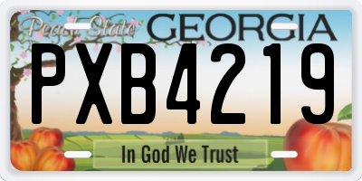 GA license plate PXB4219