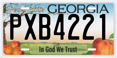 GA license plate PXB4221