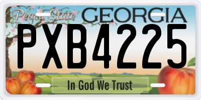 GA license plate PXB4225