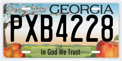 GA license plate PXB4228
