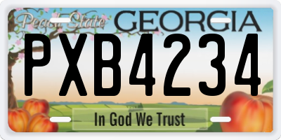 GA license plate PXB4234