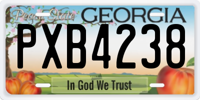 GA license plate PXB4238
