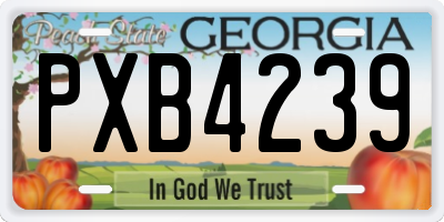 GA license plate PXB4239