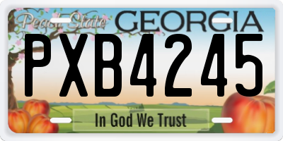 GA license plate PXB4245