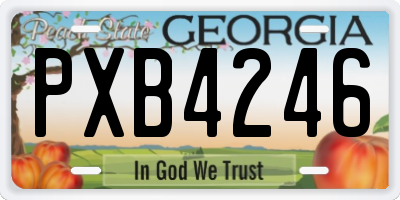 GA license plate PXB4246