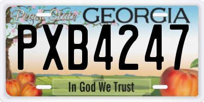 GA license plate PXB4247