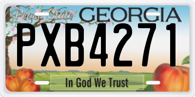 GA license plate PXB4271