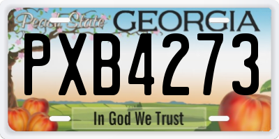 GA license plate PXB4273
