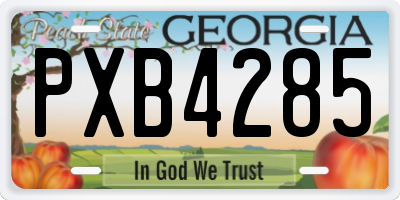 GA license plate PXB4285