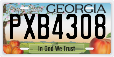 GA license plate PXB4308